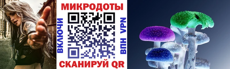 Псилоцибиновые грибы Psilocybine cubensis  Минусинск 