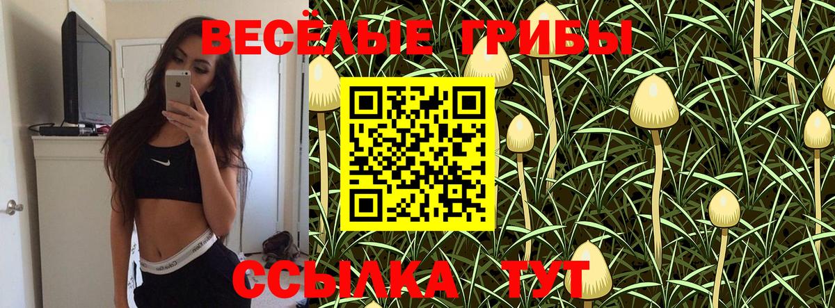 Псилоцибиновые грибы Psilocybe  Вход с VPN  Минусинск 