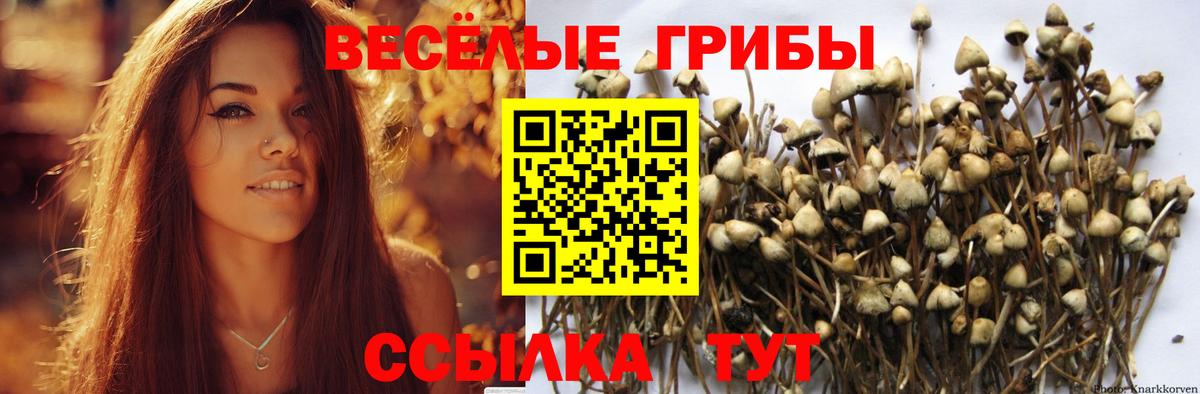 Псилоцибиновые грибы ЛСД Минусинск